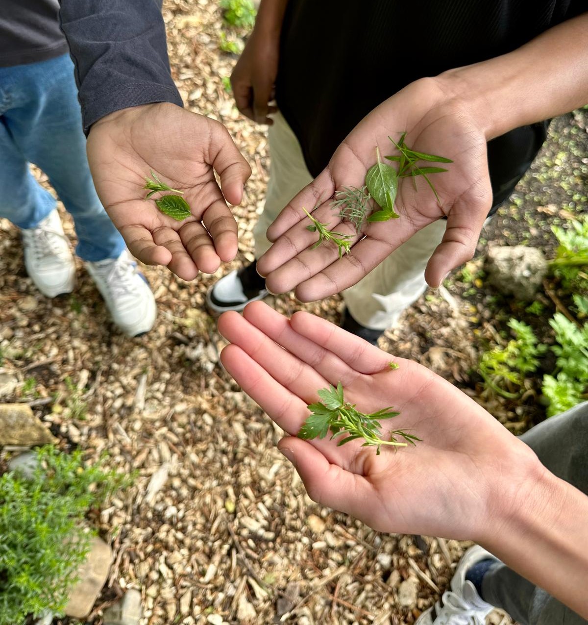 Maak en proef je eigen kruidenboter