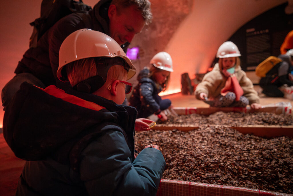 Archeoloog voor 1 dag