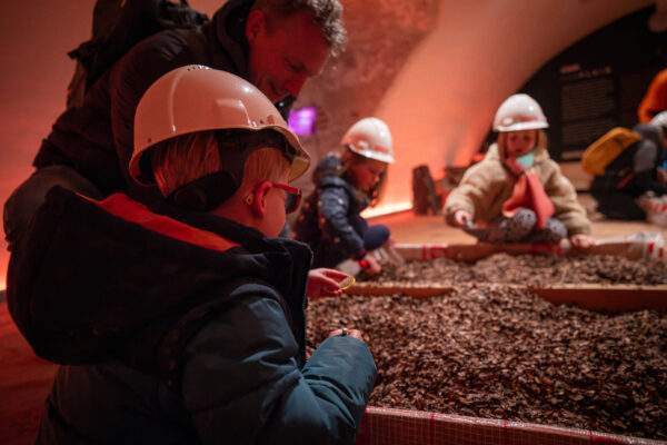 Archeoloog voor 1 dag