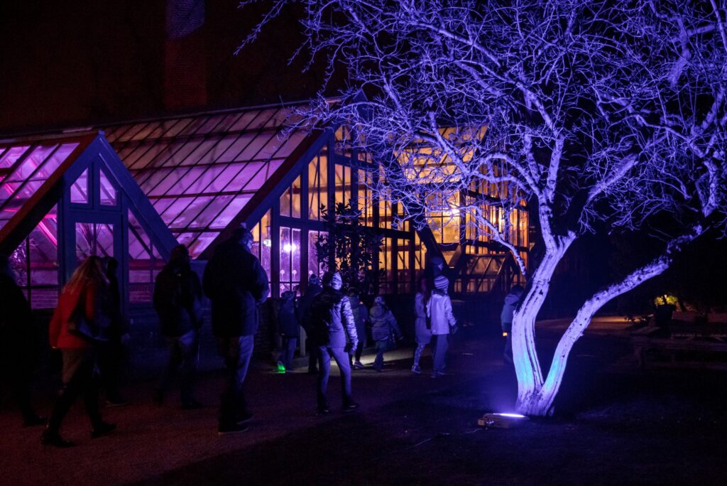 Kleurenpracht in de Oude Hortus!