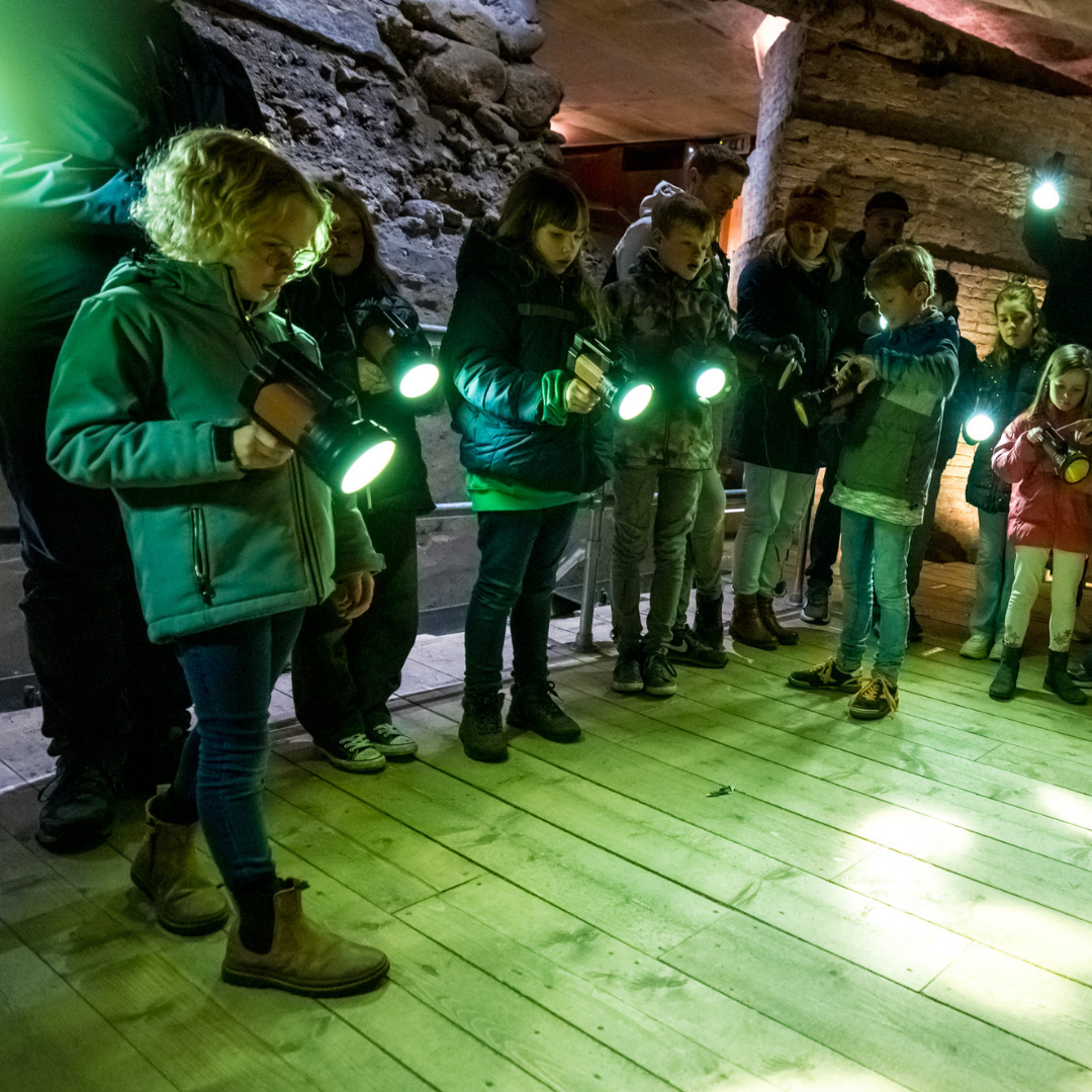 Ontwerp zonder titel