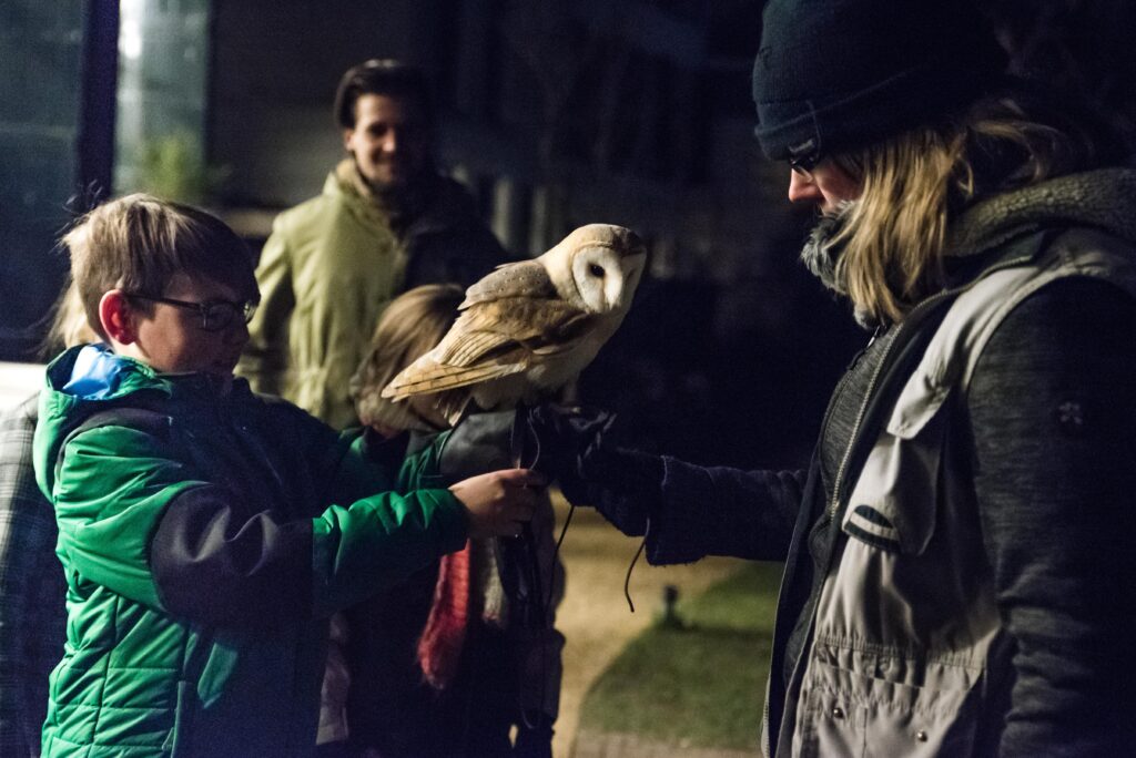 Ontmoet uilen en roofvogels in de Hortus